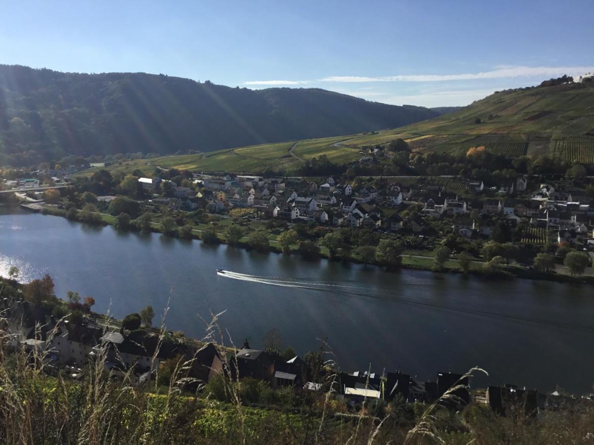 Mosel-Appartements Nehren Zell Exterior foto