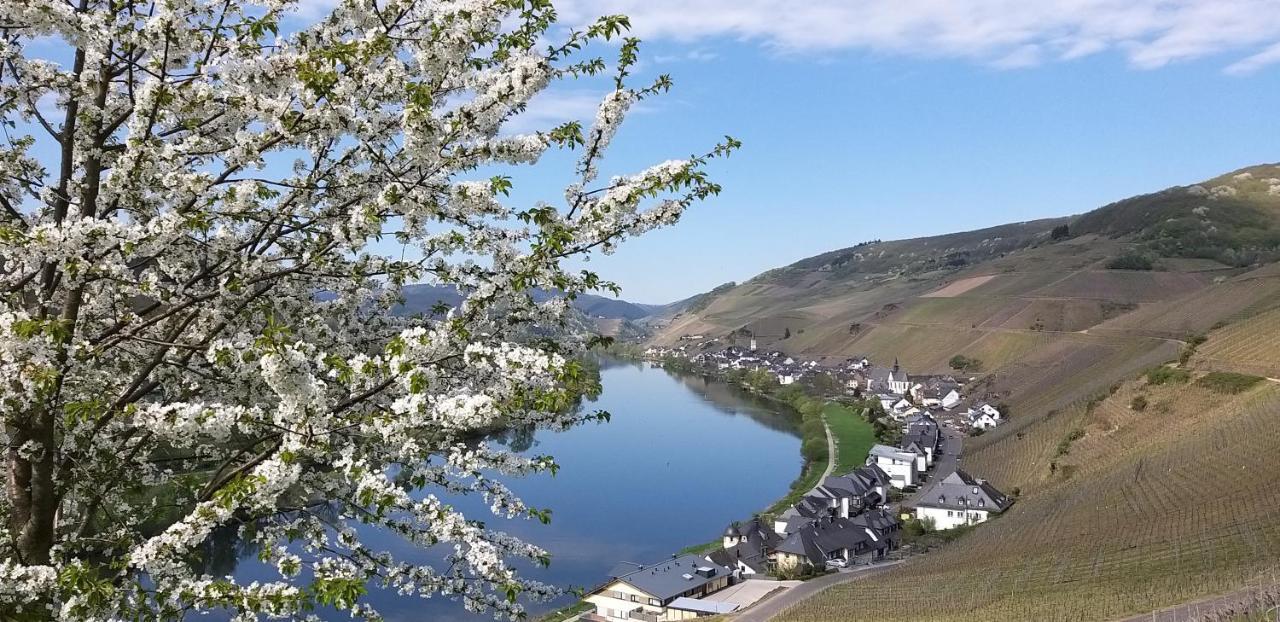 Mosel-Appartements Nehren Zell Exterior foto