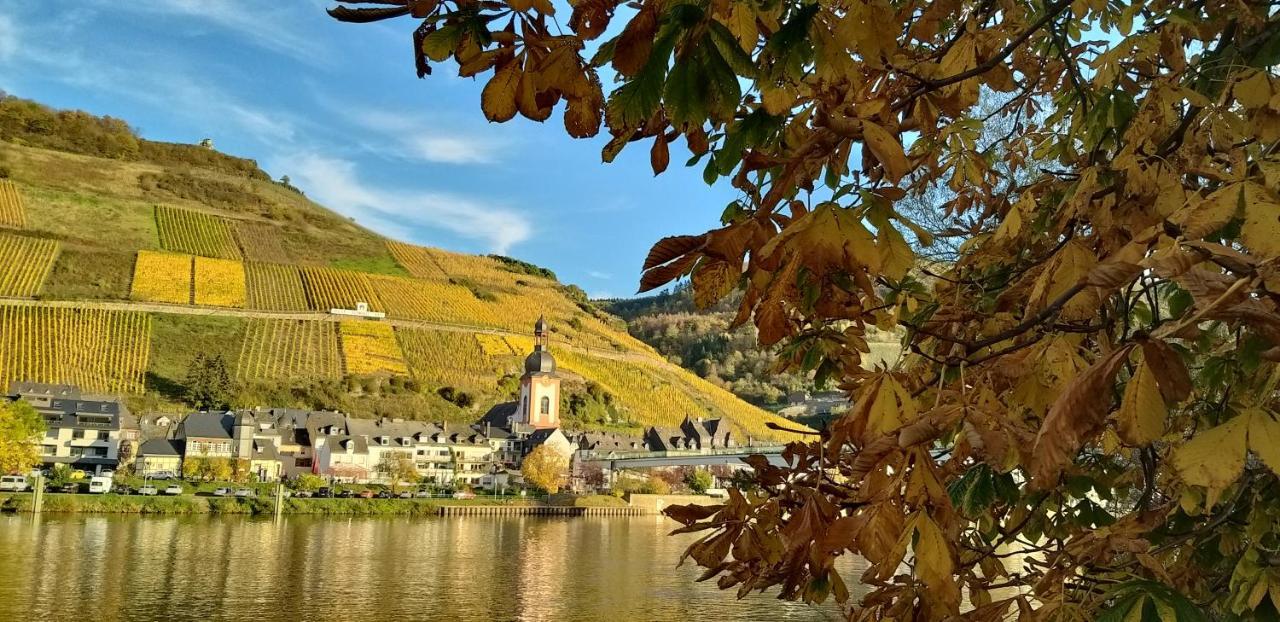 Mosel-Appartements Nehren Zell Exterior foto